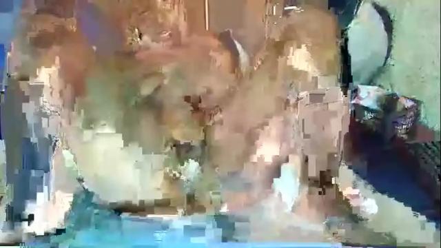 Thumbnail 1, freakyteaser1990's Stream at Chaturbate, 1 month ago