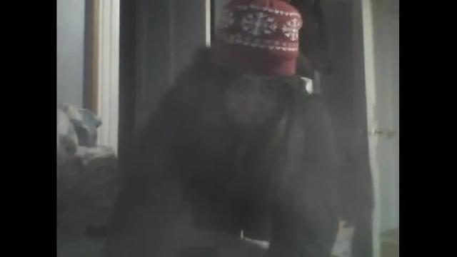Image 12 of free_101 Stream on Chaturbate on 17 months ago
