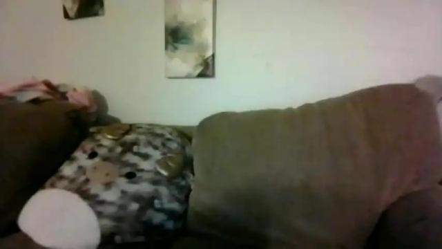 Image 2 of freshwaternewf Stream on Chaturbate on 22 months ago