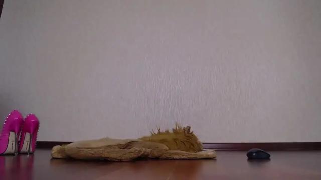 Image 6 of fuckingalice Stream on Chaturbate on 14 months ago