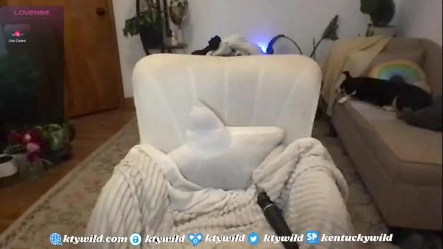 Image 3 of funcamkw Stream on Chaturbate on 1 month ago