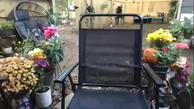 Image 3 of funcamkw Stream on Chaturbate on 1 month ago