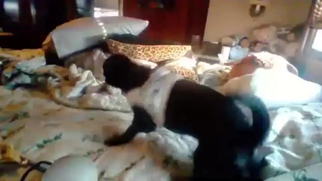 Image 4 of funcupl91 Stream on Chaturbate on 18 months ago