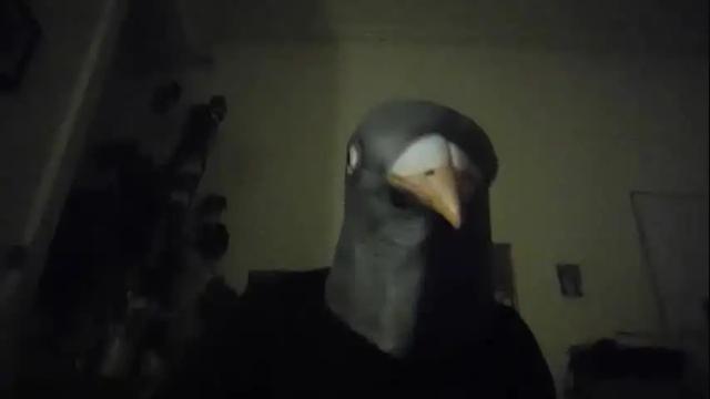 Image 3 of fuzzypeachh Stream on Chaturbate on 24 months ago