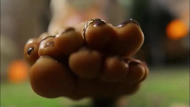 Image 8 of g_ia Stream on Chaturbate on 2 months ago