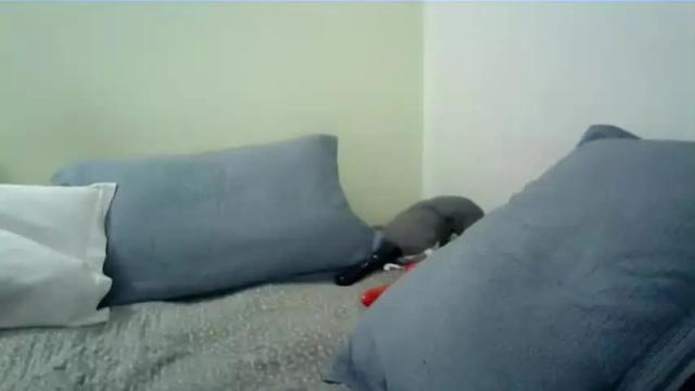 Thumbnail 3, gabby_stone32's Stream at Chaturbate, 14 months ago