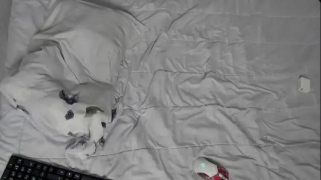 Image 3 of gabriel_olx Stream on Chaturbate on 2 months ago