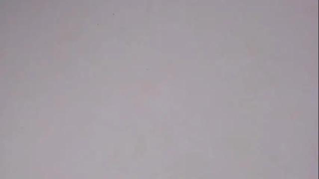 Image 3 of game_with_lesbians_ Stream on Chaturbate on 4 months ago