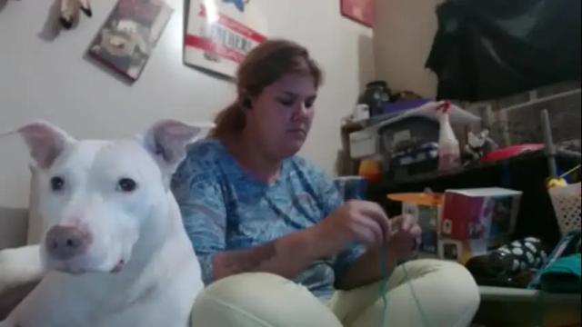 Image 10 of gamer202324 Stream on Chaturbate on 2 days ago