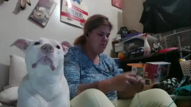 Image 12 of gamer202324 Stream on Chaturbate on 2 days ago
