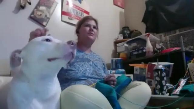 Image 7 of gamer202324 Stream on Chaturbate on 2 days ago