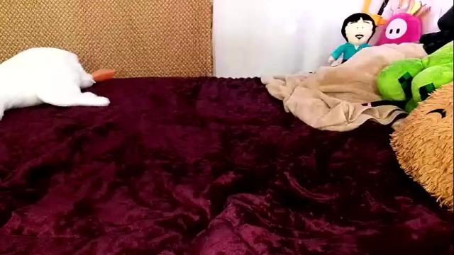 Image 12 of gamergirlroxy Stream on Chaturbate on 14 days ago