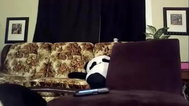 Thumbnail 3, gardenfairy97's Stream at Chaturbate, 13 months ago