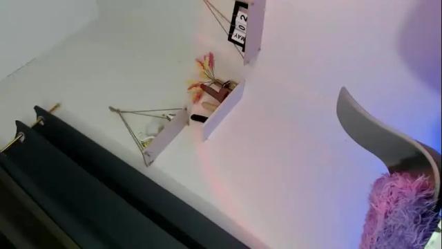 Image 10 of gata_salvaje22 Stream on Chaturbate on 1 month ago