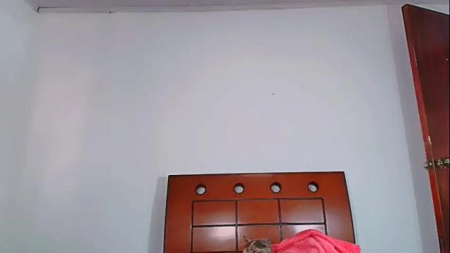Image 10 of gatita13333321 Stream on Chaturbate on 1 month ago