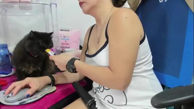 Image 11 of gatitasexy_hot_wet4u Stream on Chaturbate on 15 days ago
