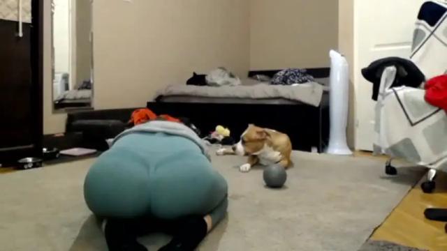 Thumbnail 2, genevacute19's Stream at Chaturbate, 18 months ago