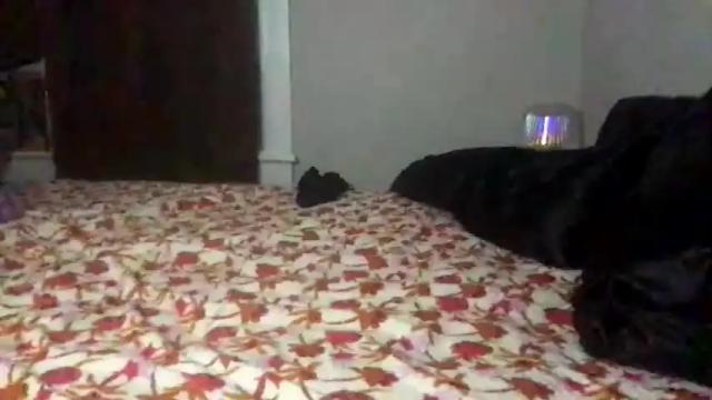 Image 12 of georgeviolet Stream on Chaturbate on 20 months ago