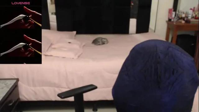 Image 2 of geral_bhri Stream on Chaturbate on 4 days ago