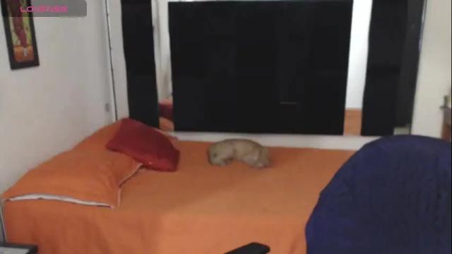 Image 12 of geral_bhri Stream on Chaturbate on 1 month ago