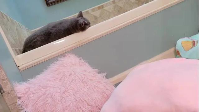 Thumbnail 2, giannasexo's Stream at Chaturbate, 19 days ago