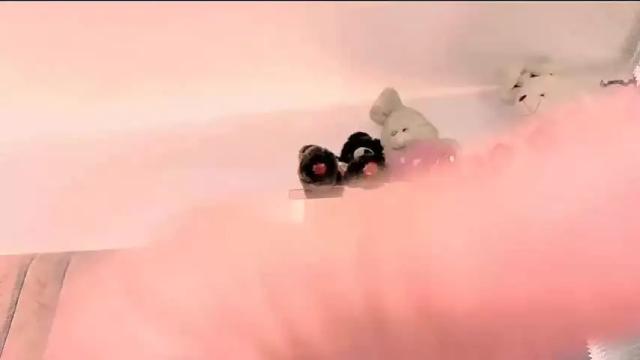 Thumbnail 2, gina_akemi's Stream at Chaturbate, 21 days ago
