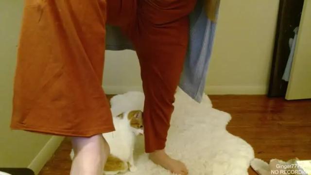 Image 3 of ginger7777777 Stream on Chaturbate on 14 months ago