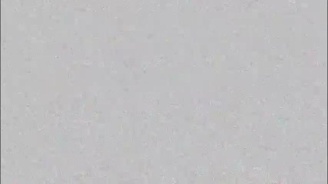 Image 7 of gipsela_gomez Stream on Chaturbate on 29 days ago