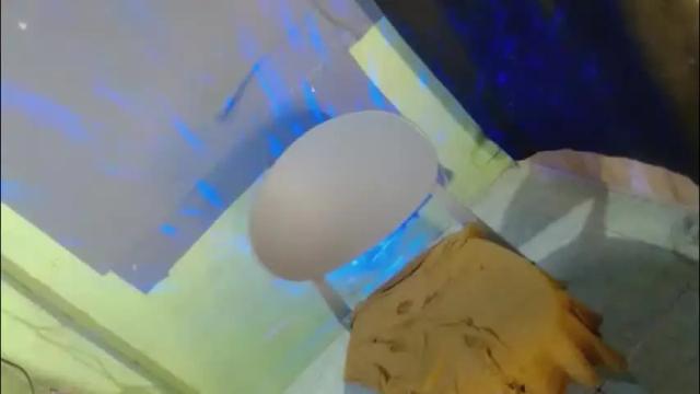 Thumbnail 3, girlcock_8's Stream at Chaturbate, 2 months ago