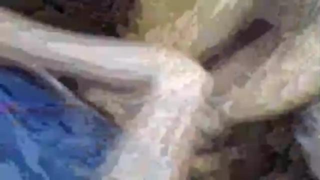 Image 6 of girlmimi88 Stream on Chaturbate on 14 months ago