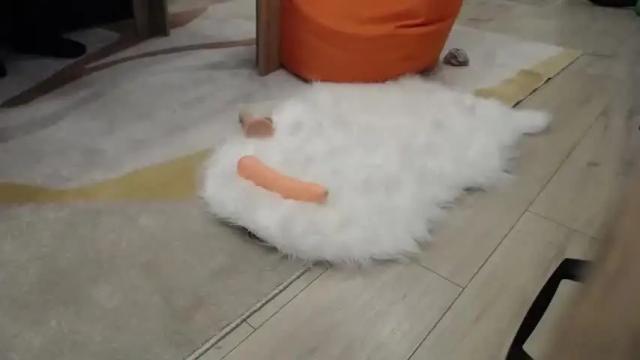 Image 8 of girlnextdoorkink Stream on Chaturbate on 15 months ago