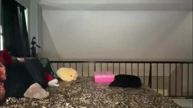 Image 10 of globberton Stream on Chaturbate on 17 days ago