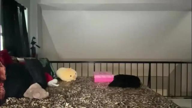 Thumbnail 3, globberton's Stream at Chaturbate, 17 days ago