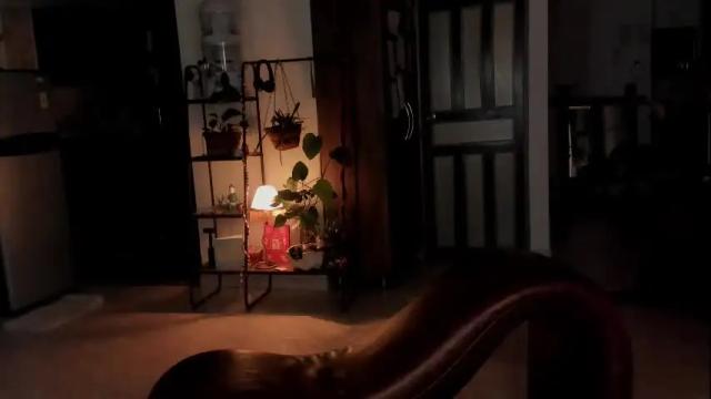 Image 6 of goddes_helena Stream on Chaturbate on 2 months ago