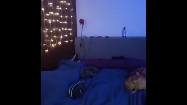 Image 6 of goddess_dina Stream on Chaturbate on 14 days ago