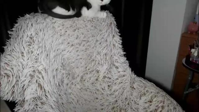 Image 4 of goddessmxx Stream on Chaturbate on 7 days ago