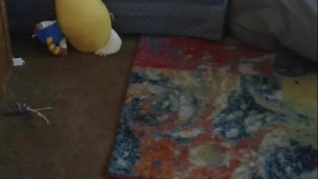 Image 4 of goddness_aquariuss Stream on Chaturbate on 18 months ago