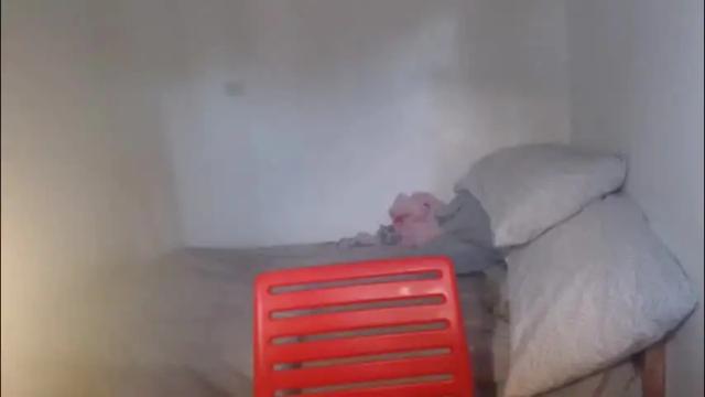 Image 3 of goldbella_ Stream on Chaturbate on 3 months ago