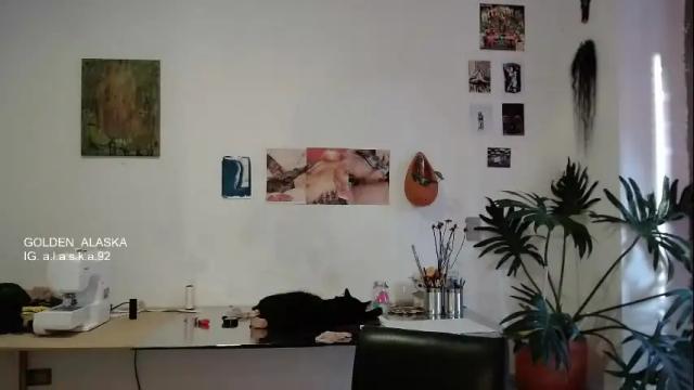 Image 12 of golden_alaska Stream on Chaturbate on 6 days ago