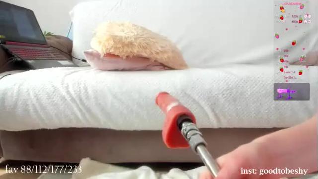 Image 7 of goodtobeshy Stream on Chaturbate on 1 month ago