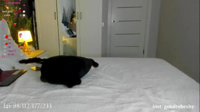 Image 12 of goodtobeshy Stream on Chaturbate on 1 month ago