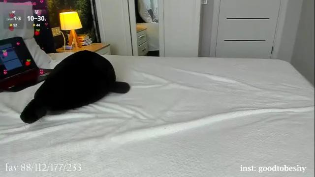 Thumbnail 3, goodtobeshy's Stream at Chaturbate, 11 days ago