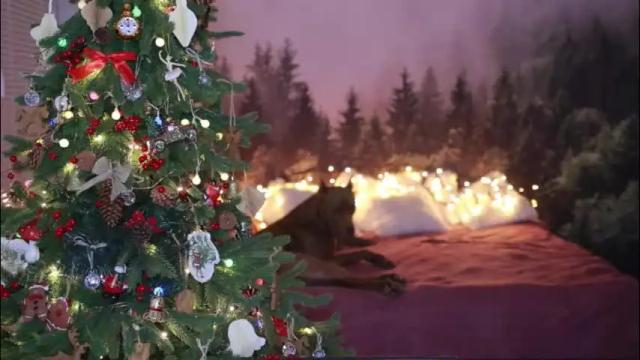 Thumbnail 3, gracegreen's Stream at Chaturbate, 5 days ago