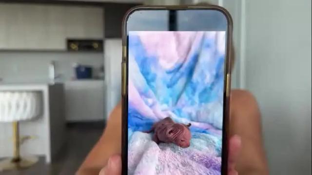 Thumbnail 2, graciemae_baexx's Stream at Chaturbate, 3 months ago