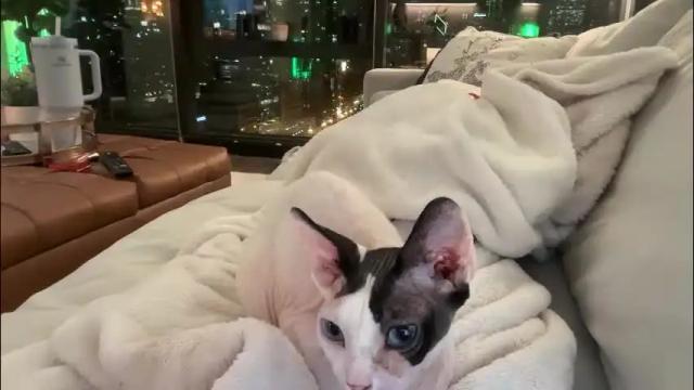 Image 2 of graciemae_baexx Stream on Chaturbate on 28 days ago