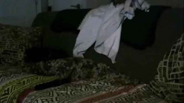 Thumbnail 1, grannyisready61's Stream at Chaturbate, 21 days ago