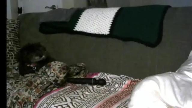Image 6 of grannyisready61 Stream on Chaturbate on 20 days ago