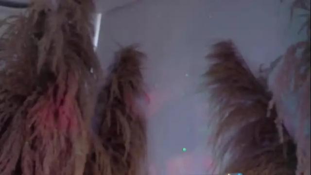 Image 8 of grayce_blossoms24 Stream on Chaturbate on 1 month ago