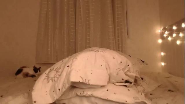 Image 7 of haidyhaven Stream on Chaturbate on 2 months ago