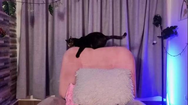 Image 8 of hairyandsexysalma Stream on Chaturbate on 1 month ago